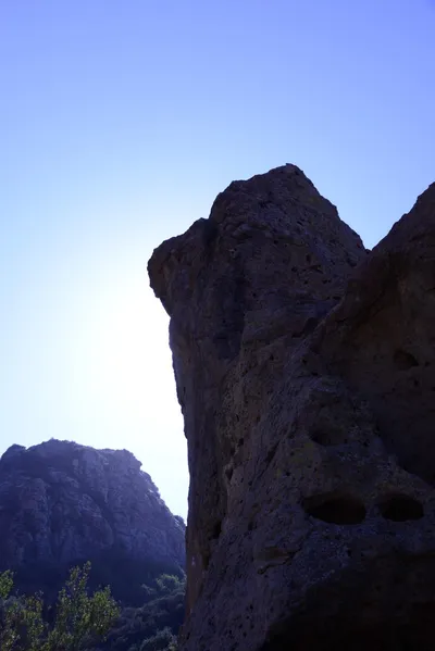 DSC_2020 (Large).JPG